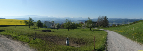 2025-04-29-SAC-RS-Nollen-Barfu-12_bearbeitet-1