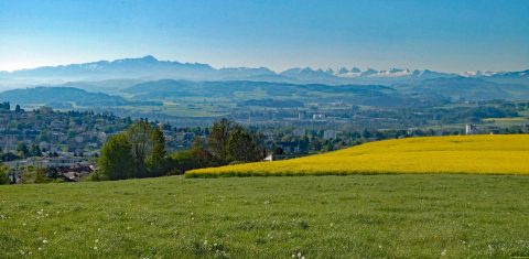 2025-04-29-SAC-RS-Nollen-Barfu-15_bearbeitet-1