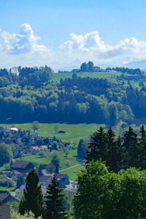 2025-04-29-SAC-RS-Nollen-Barfu-47_bearbeitet-1