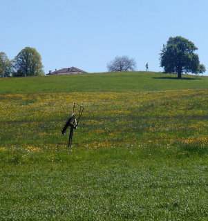 2025-04-29-SAC-RS-Nollen-Barfu-67_bearbeitet-1