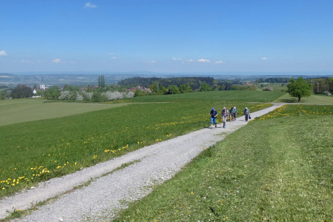 2025-04-29-SAC-RS-Nollen-Barfu-81_bearbeitet-1