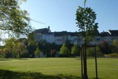 2025-04-29-SAC-RS-Nollen-Barfu-06