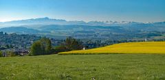 2025-04-29-SAC-RS-Nollen-Barfu-15_bearbeitet-1