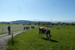2025-04-29-SAC-RS-Nollen-Barfu-40