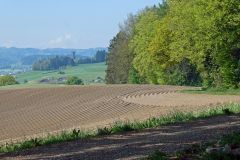 2025-04-29-SAC-RS-Nollen-Barfu-42_bearbeitet-1