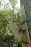 2025-04-29-SAC-RS-Nollen-Barfu-60_bearbeitet-1