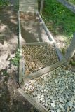 2025-04-29-SAC-RS-Nollen-Barfu-62_bearbeitet-1
