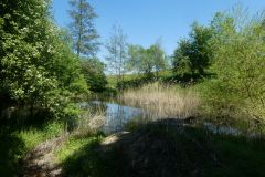 2025-04-29-SAC-RS-Nollen-Barfu-70