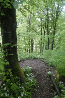 2025-05-06-SAC-RS-Thurweg-Jons-04