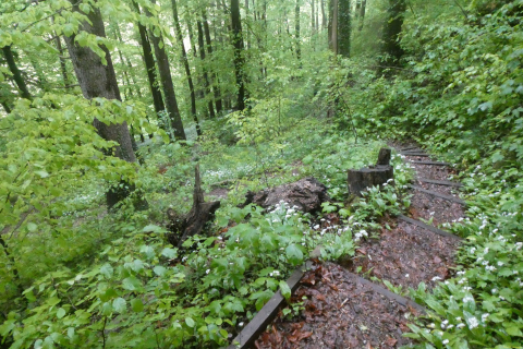2025-05-06-SAC-RS-Thurweg-Jons-05