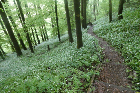 2025-05-06-SAC-RS-Thurweg-Jons-07