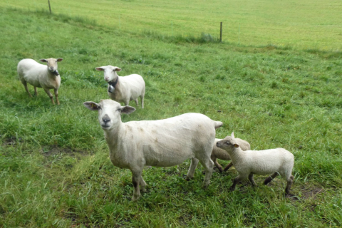 2025-05-06-SAC-RS-Thurweg-Jons-13_bearbeitet-1
