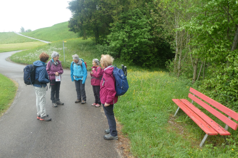 2025-05-06-SAC-RS-Thurweg-Jons-15