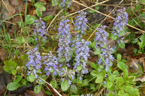 2025-05-06-SAC-RS-Thurweg-Jons-25