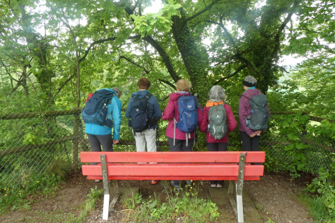2025-05-06-SAC-RS-Thurweg-Jons-34