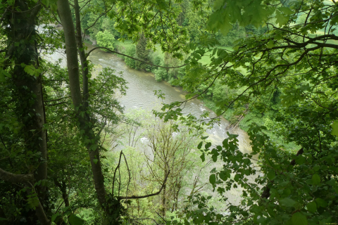 2025-05-06-SAC-RS-Thurweg-Jons-36