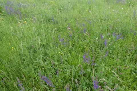 2025-05-06-SAC-RS-Thurweg-Jons-49