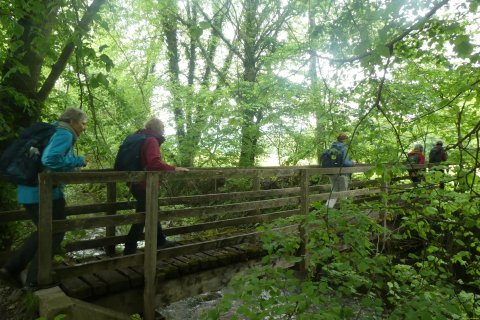2025-05-06-SAC-RS-Thurweg-Jons-56