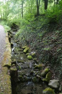 2025-05-06-SAC-RS-Thurweg-Jons-68