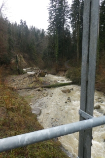 2025-01-28-SAC-RS-Moersch-Roggw-06