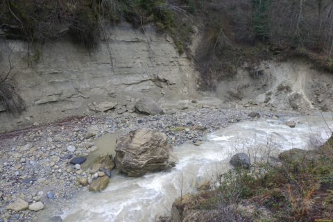 2025-01-28-SAC-RS-Moersch-Roggw-07