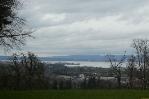 2025-01-28-SAC-RS-Moersch-Roggw-09