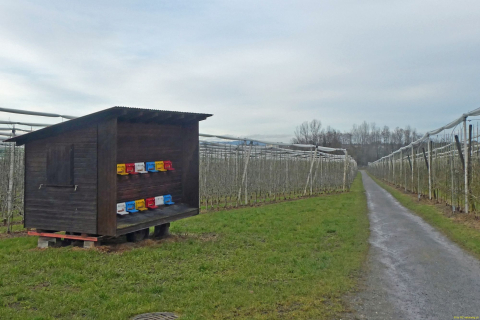 2025-01-28-SAC-RS-Moersch-Roggw-22_bearbeitet-1