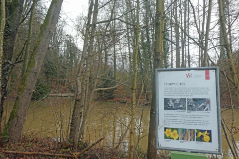 2025-01-28-SAC-RS-Moersch-Roggw-27_bearbeitet-1