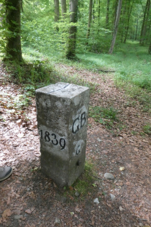 2025-05-13-SAC-RS-Ramsen-Sparg-093