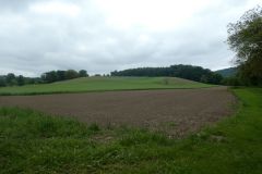 2025-05-13-SAC-RS-Ramsen-Sparg-083