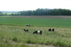 2025-05-13-SAC-RS-Ramsen-Sparg-119