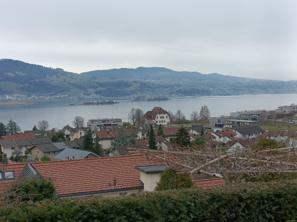 IMG20250225111423