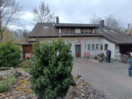 IMG20250225122525