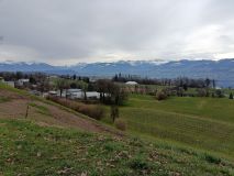 IMG20250225115805