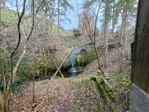 IMG20250225122542