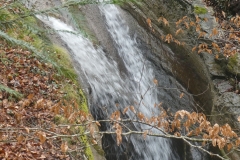 2025 SAC RS Schlucht Blumen Burg 