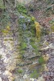 1_2025-03-17-Sevelen-Burg-Weite-014