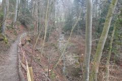 1_2025-03-17-Sevelen-Burg-Weite-018