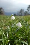 1_2025-03-17-Sevelen-Burg-Weite-079
