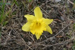 1_2025-03-17-Sevelen-Burg-Weite-168