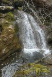 2025-03-17-Sevelen-Burg-Weite-008