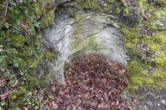 2025-03-17-Sevelen-Burg-Weite-009
