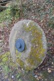 2025-03-17-Sevelen-Burg-Weite-013
