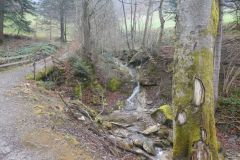 2025-03-17-Sevelen-Burg-Weite-015