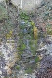 2025-03-18-Sevelen-Burg-Weite-09
