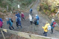 2025-03-18-Sevelen-Burg-Weite-11
