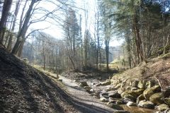 2025-03-18-Sevelen-Burg-Weite-15