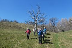2025-03-18-Sevelen-Burg-Weite-31