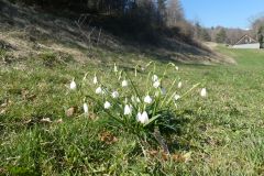 2025-03-18-Sevelen-Burg-Weite-37