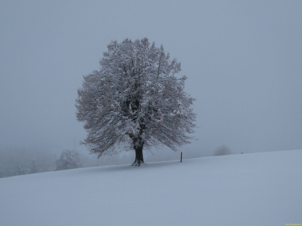2025-11-26-SAC-RS-Leimensteig-05